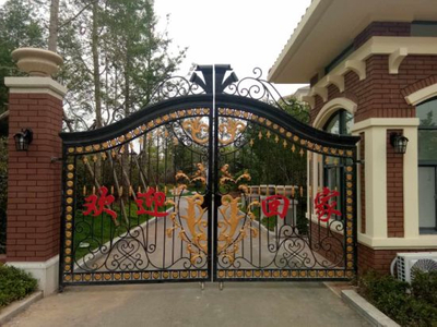 Puerta de entrada decorativa de hierro forjado de alta calidad